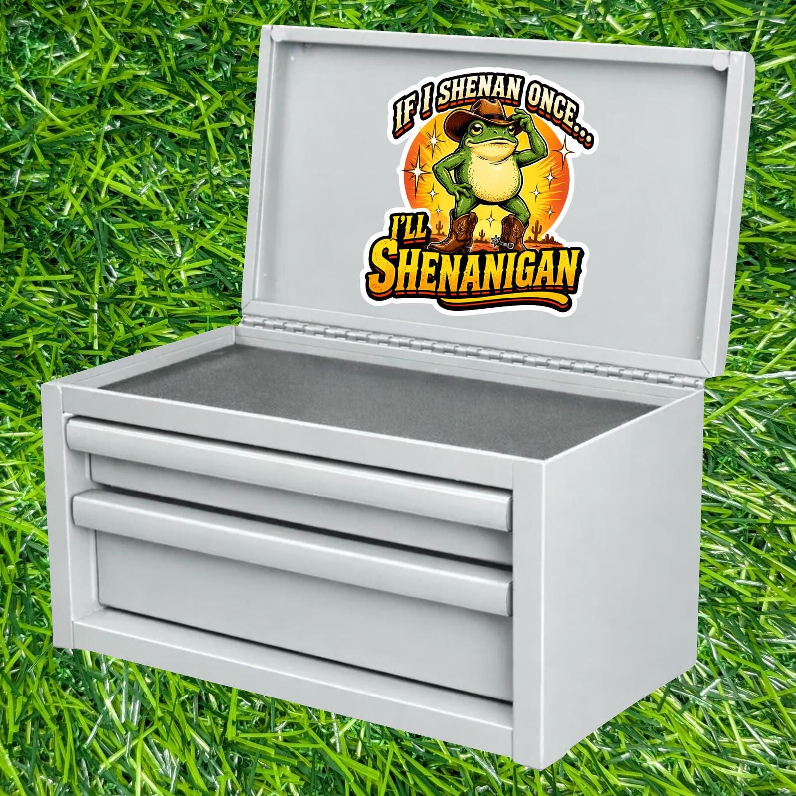 If I Shenan Once I'll Shenanigan Decal, Cowboy Frog Sticker, Western Frog Gift