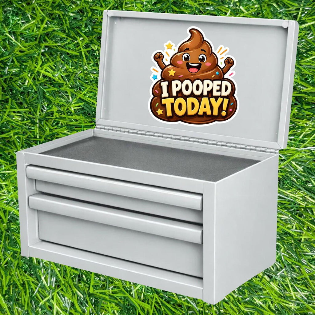 I Pooped Today Sticker, Bathroom Humor Decal, Potty Achievement, Gross Poo Emoji