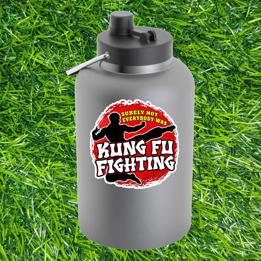 Surely Not Everybody Was Kung Fu Fighting Sticker Martial Arts Decal Retro Song