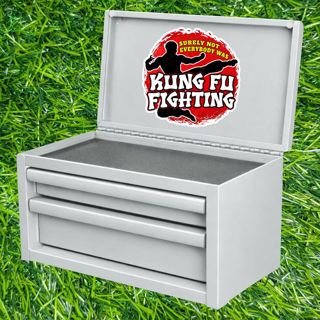 Surely Not Everybody Was Kung Fu Fighting Sticker Martial Arts Decal Retro Song