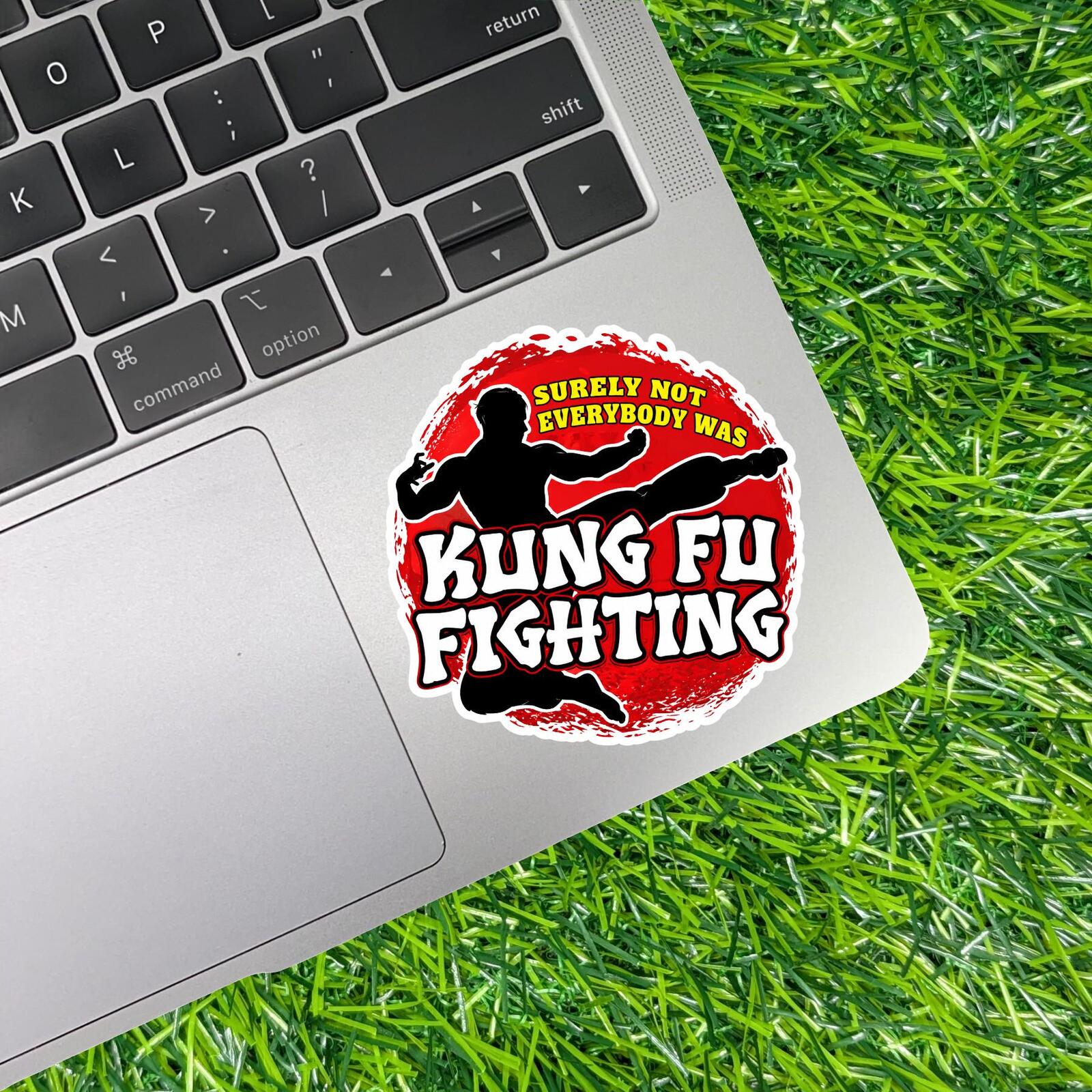 Surely Not Everybody Was Kung Fu Fighting Sticker Martial Arts Decal Retro Song