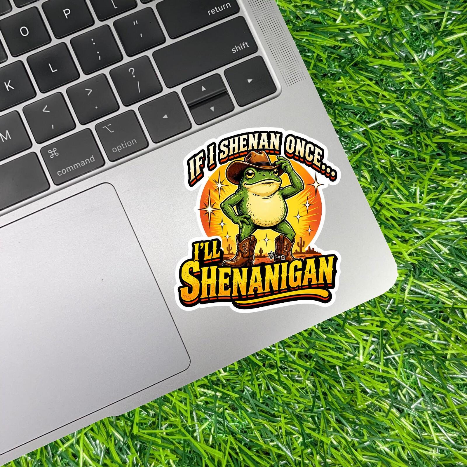 If I Shenan Once I'll Shenanigan Decal, Cowboy Frog Sticker, Western Frog Gift